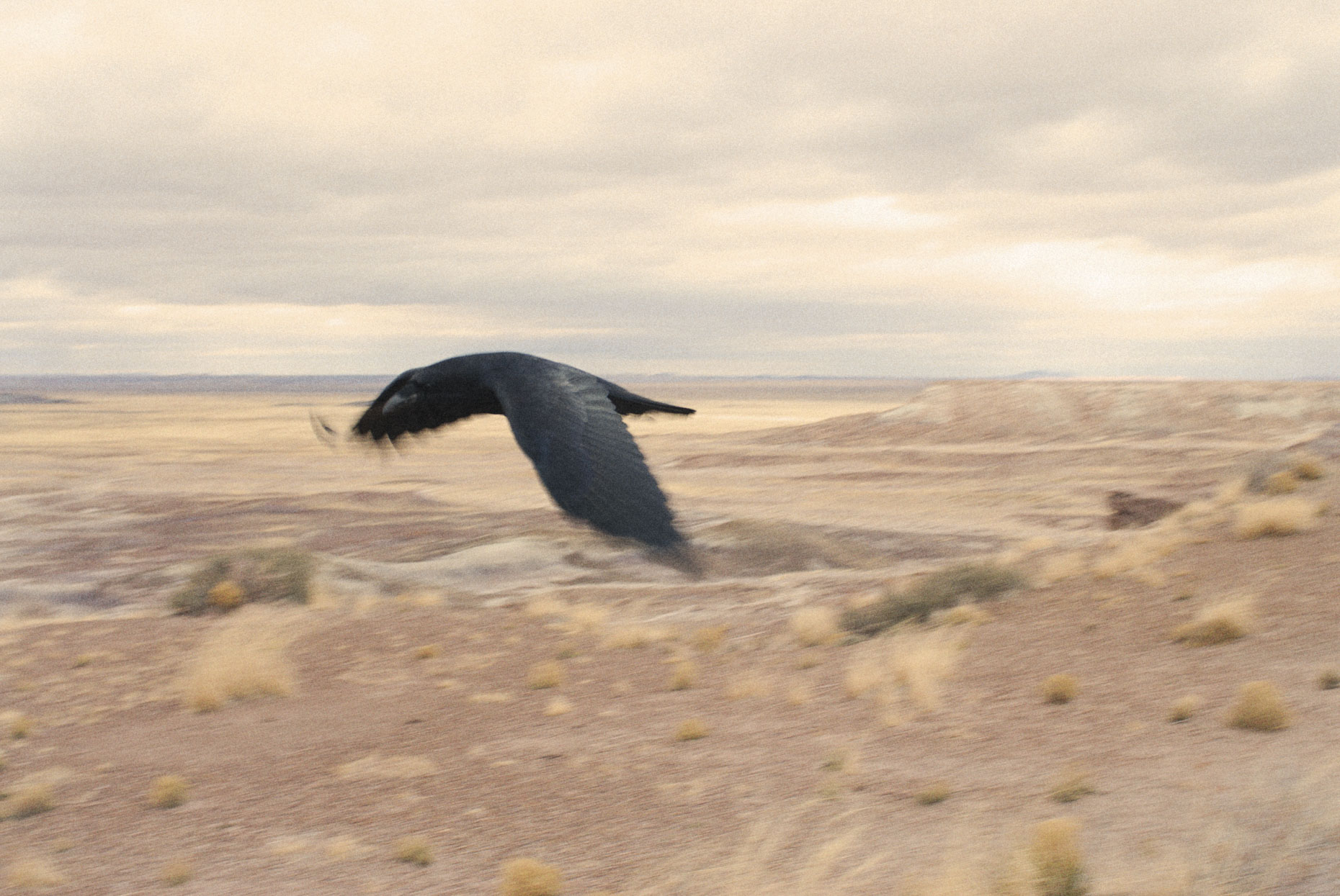 The Painted Desert \\ Andrew Zaeh Photo + Motion